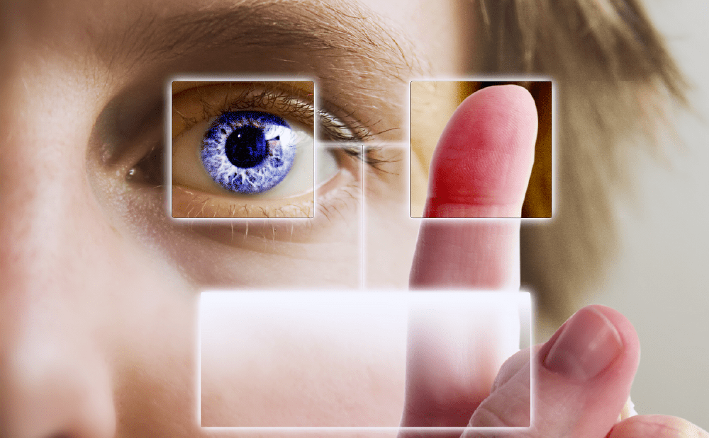 eye finger biometric