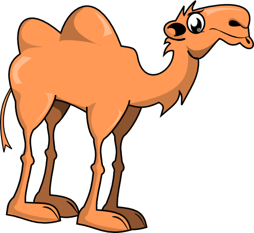 cartoon-cute-camel