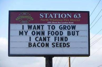 cartoon-sign-grow-food-bacon