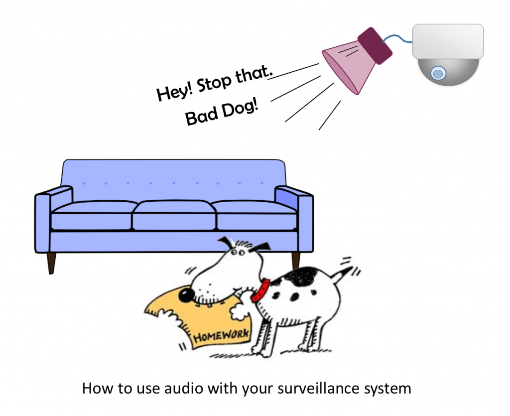 Dog cartoon - audio with surveillance system