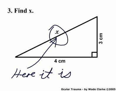 Cartoon-Triangle-Test-Answer