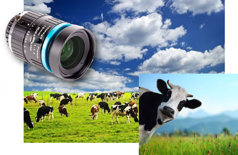 Camera In Field The Field of View for IP Camera Systems - Kintronics