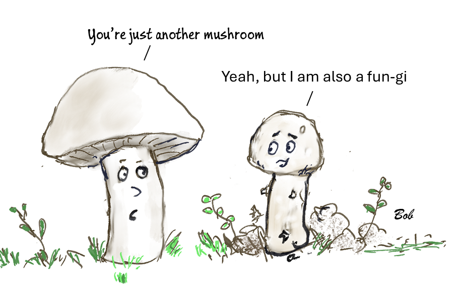 Cartoon: I'm a fun-gi