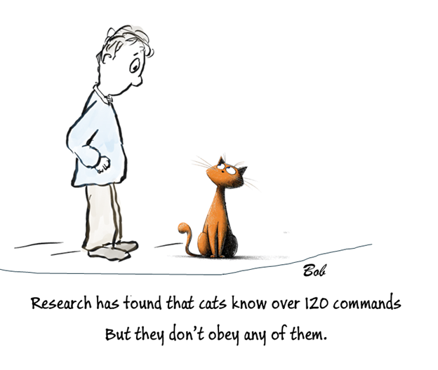 Cartoon Cat and Commands
