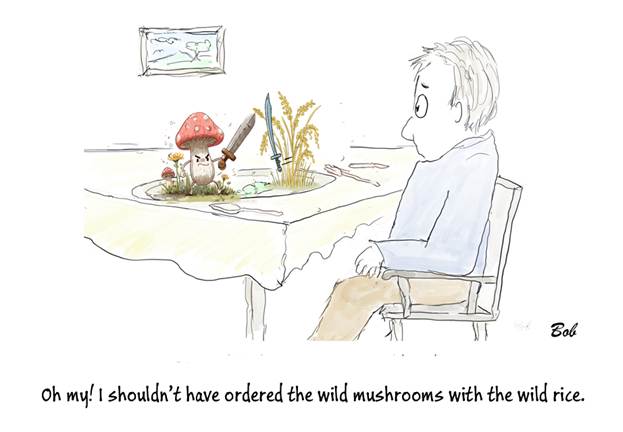 Cartoon: Wild Rice and Mushrooms
