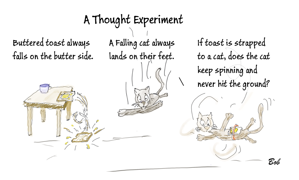 Cartoon Cat and thought Experiment